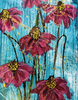A6 - Pink Cone Flowers on Blue - ID 160