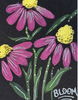 A2 Cone Flowers Black Background- Bloom - ID 119