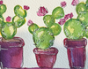 A6 3 Cactus Plants - ID 1151